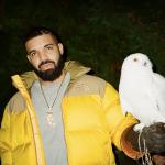 artist image Drake Energy If You're Reading This It's Too Late
