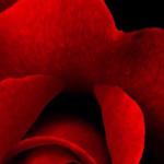 artist image Techno Project, Dj Geny Tur HELLO (Dj Andersen, Pavel Velchev & Dmitriy Rs Remix) HELLO (Dj Andersen, Pavel Velchev & Dmitriy Rs Remix) - Single