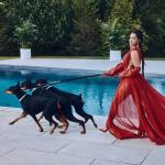 artist image Cardi B Up Up - Single