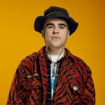 artist image Wellboy Гуси новорічні 