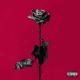 Blackbear - Idfc (acoustic version / excerpt from music)
