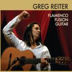 album image Wicked Game Flamenco Fusion Guitar
