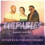 album image Culpables (Bachata Version) - (Dj DoodlEZ) Culpables (Bachata Version) - Single