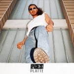 album image Wieso tust Du dir das an? Platte