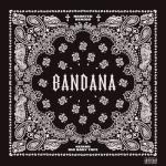 album image 5 Nights Crazy BANDANA I