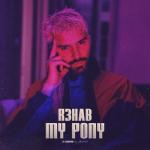 album image My Pony My Pony - Single
