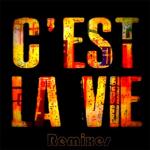 album image c’est la vie (slow) (Muzqa.net) C'est la vie (Remixes)