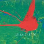 album image Flashed Junk Mind (When We Were Young Souls) Sadnecessary