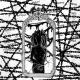 pyrokinesis - ENIGMA