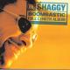 Shaggy - Bombastic (remix)