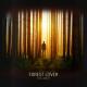 Chillmore - Forest Lover