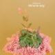 Chillmore - Miracle Way